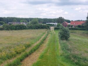 Uitzicht Maasmolen vers uitgemaaide heg